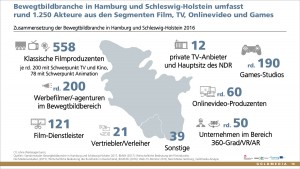 Studie Bewegtbildbranche in Hamburg und Schleswig-Holstein 2017, © Goldmedia 2017