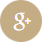 G+-Icon